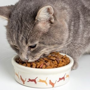 FelineFresh Lavender Scented Litter